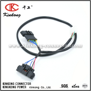 Automotive extend wiring harness /cable assembly