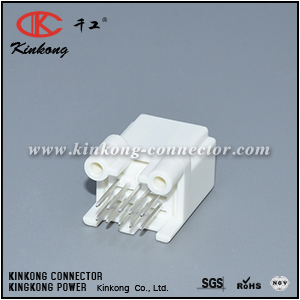 10 pins blade electric connector CKK5101WS-0.7-11