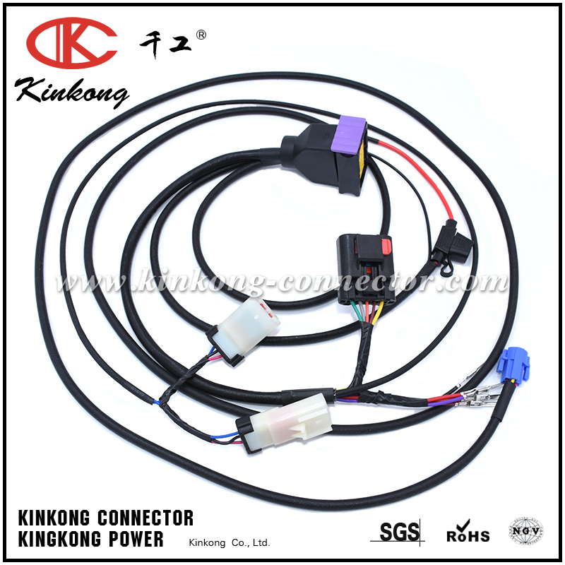 OEM automotive wiring harness 3