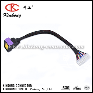 Kinkong Type Auto Wire harness with 24 pin ECU connector