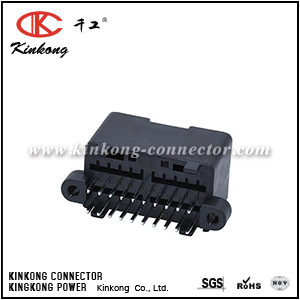 174977-2 20 pin male auto connection CKK5204BS-1.0-11