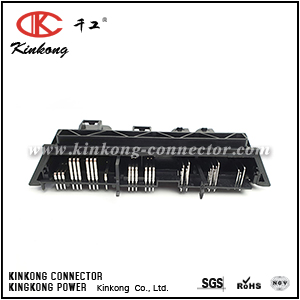 31 pin ECU Connector