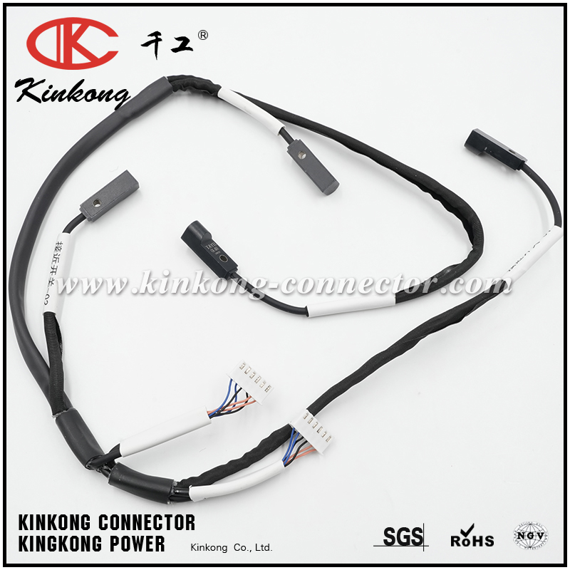 Electrical signal and power transmission harnesses in automotive electronic systems